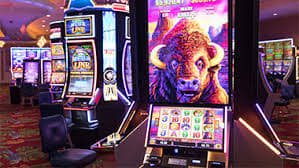 1111bet app